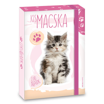 Ars Una füzetbox A5 - Cuki állatok - Cicás